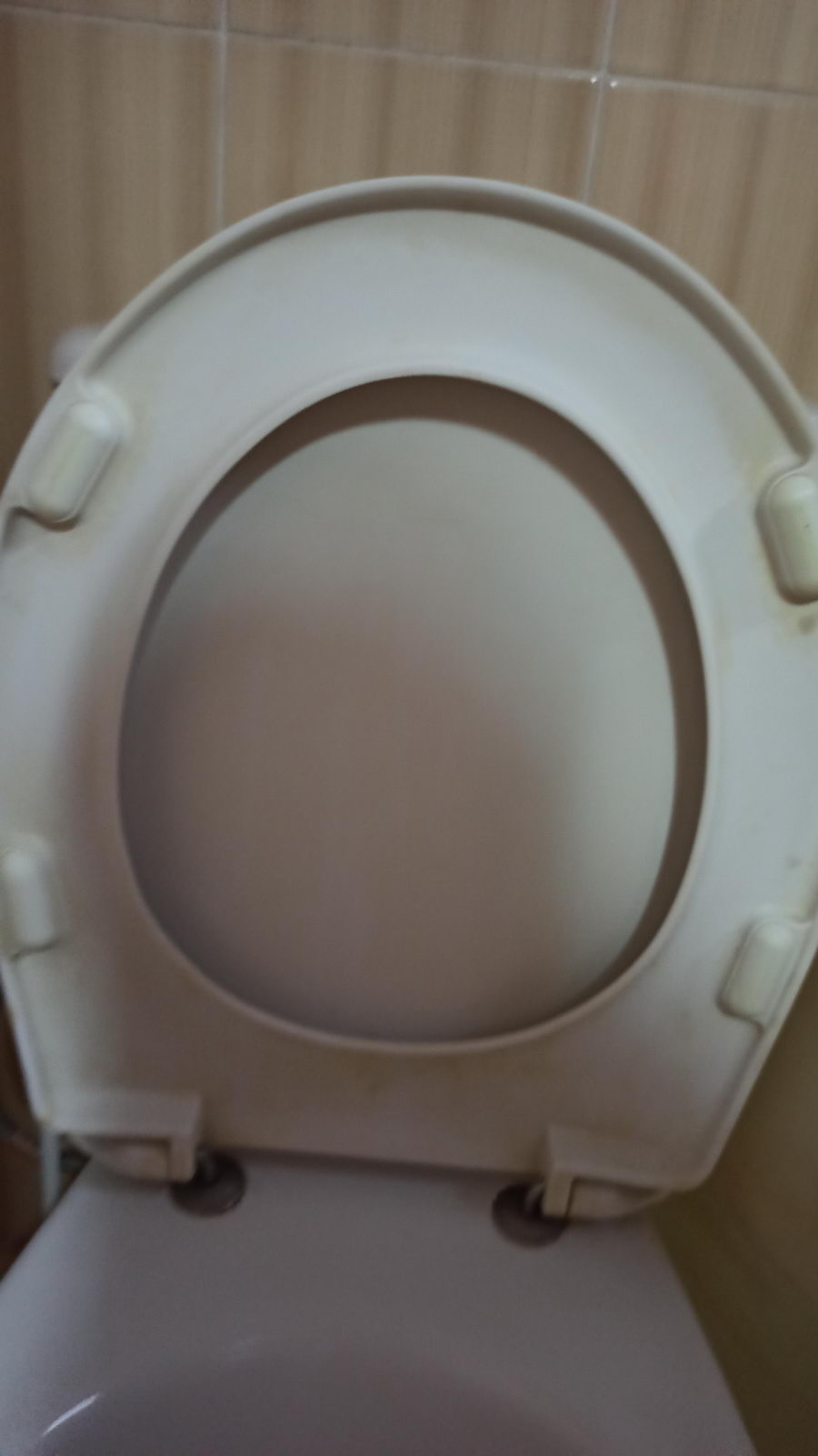 Генеральне прибирання квартири - миття унітазу (Чагор) After