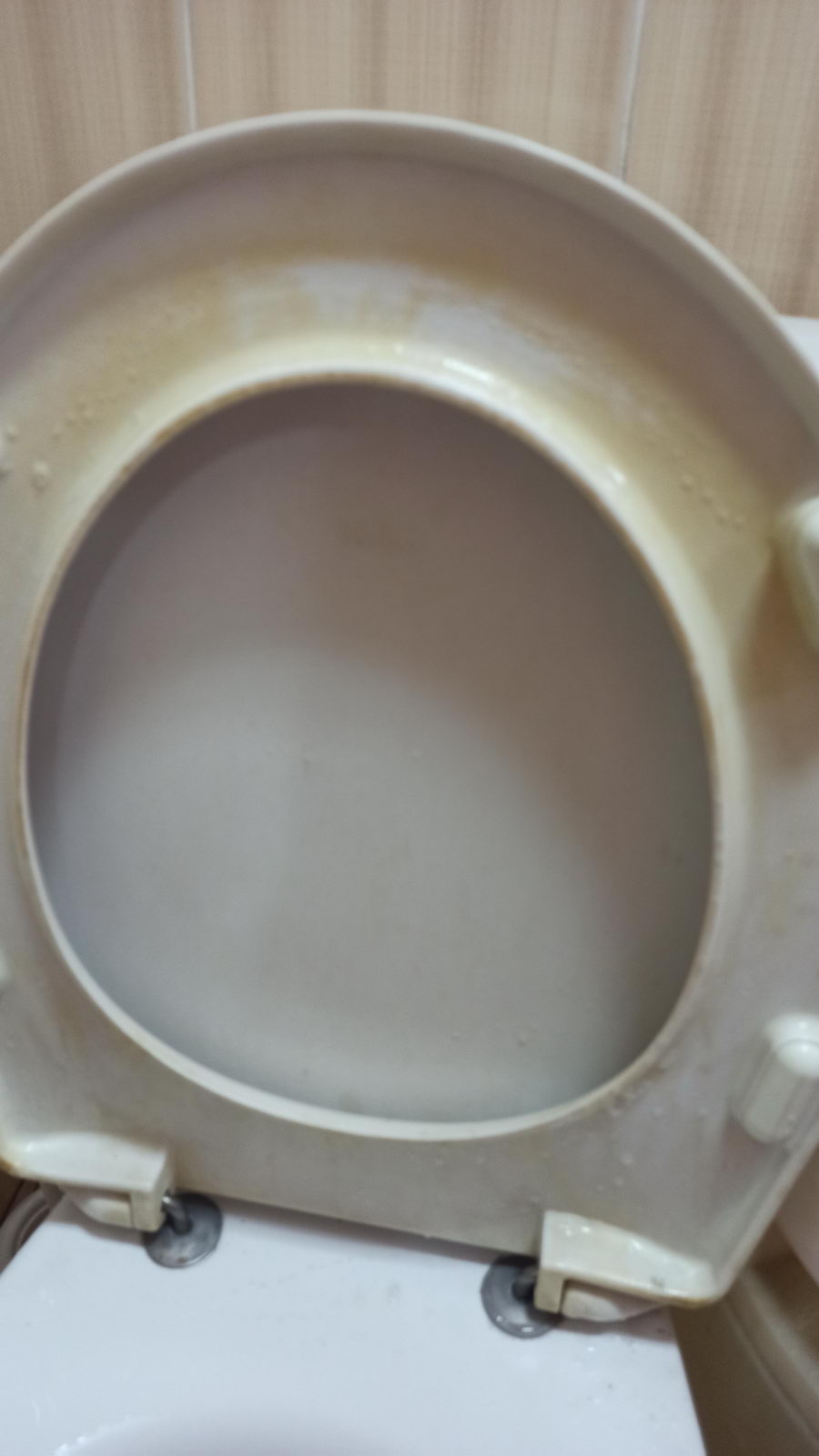 Генеральне прибирання квартири - миття унітазу (Чагор) Before